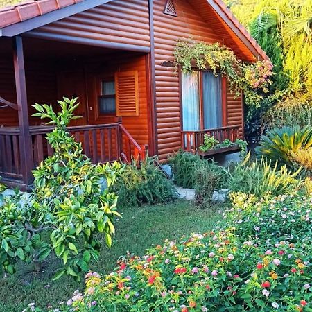 Leontopolis Apart Otel Çıralı Buitenkant foto