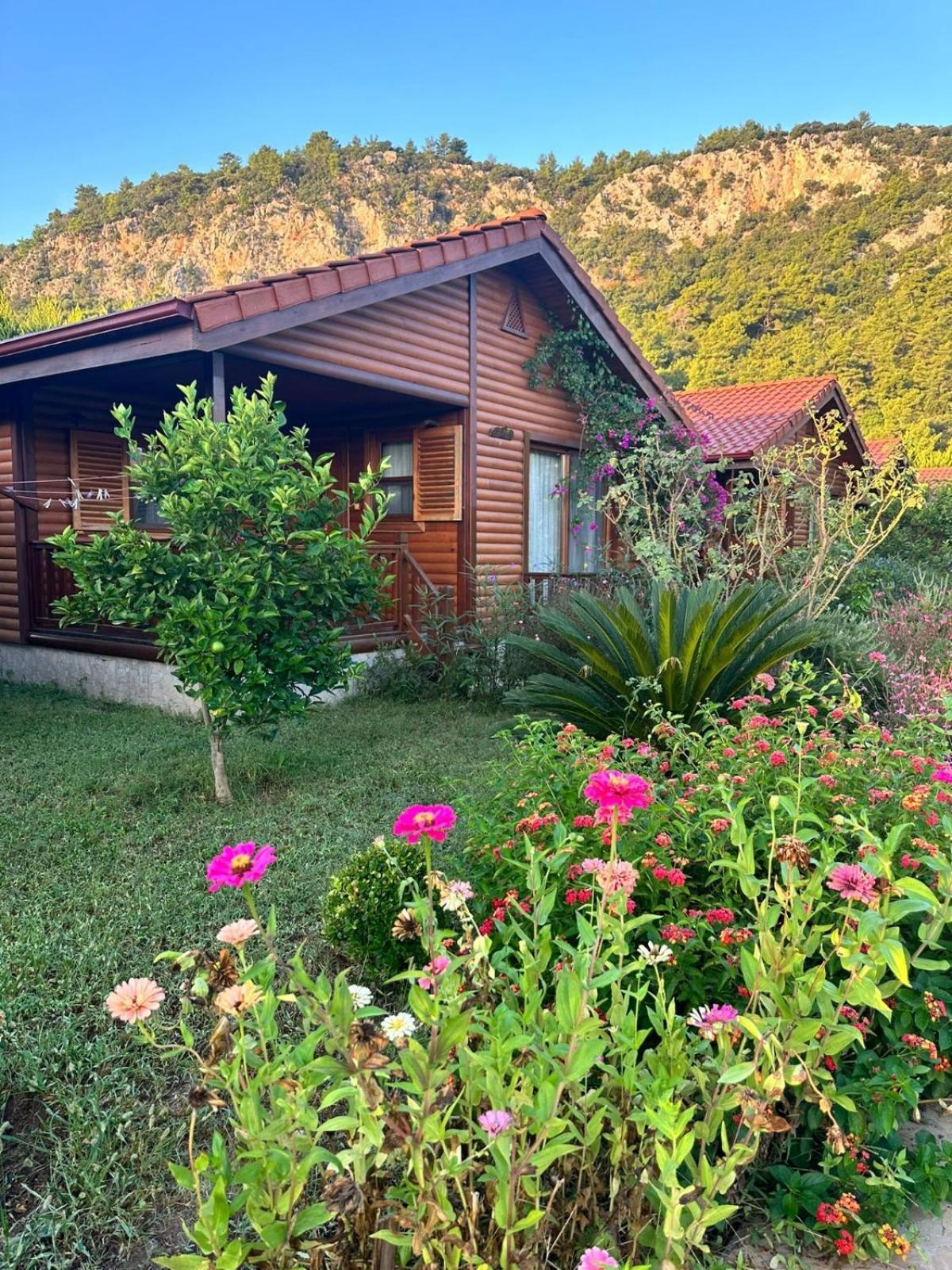 Leontopolis Apart Otel Çıralı Buitenkant foto
