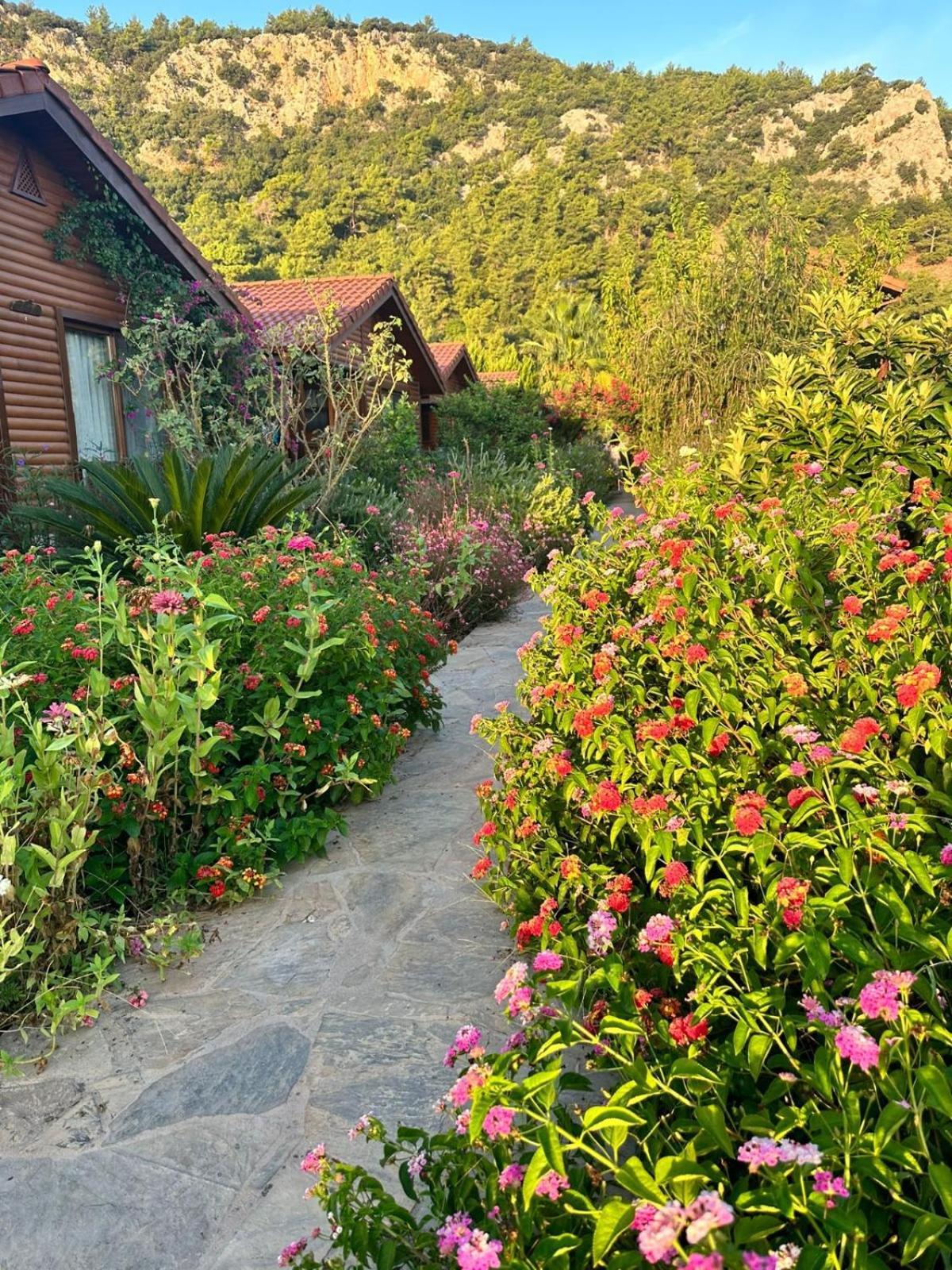 Leontopolis Apart Otel Çıralı Buitenkant foto
